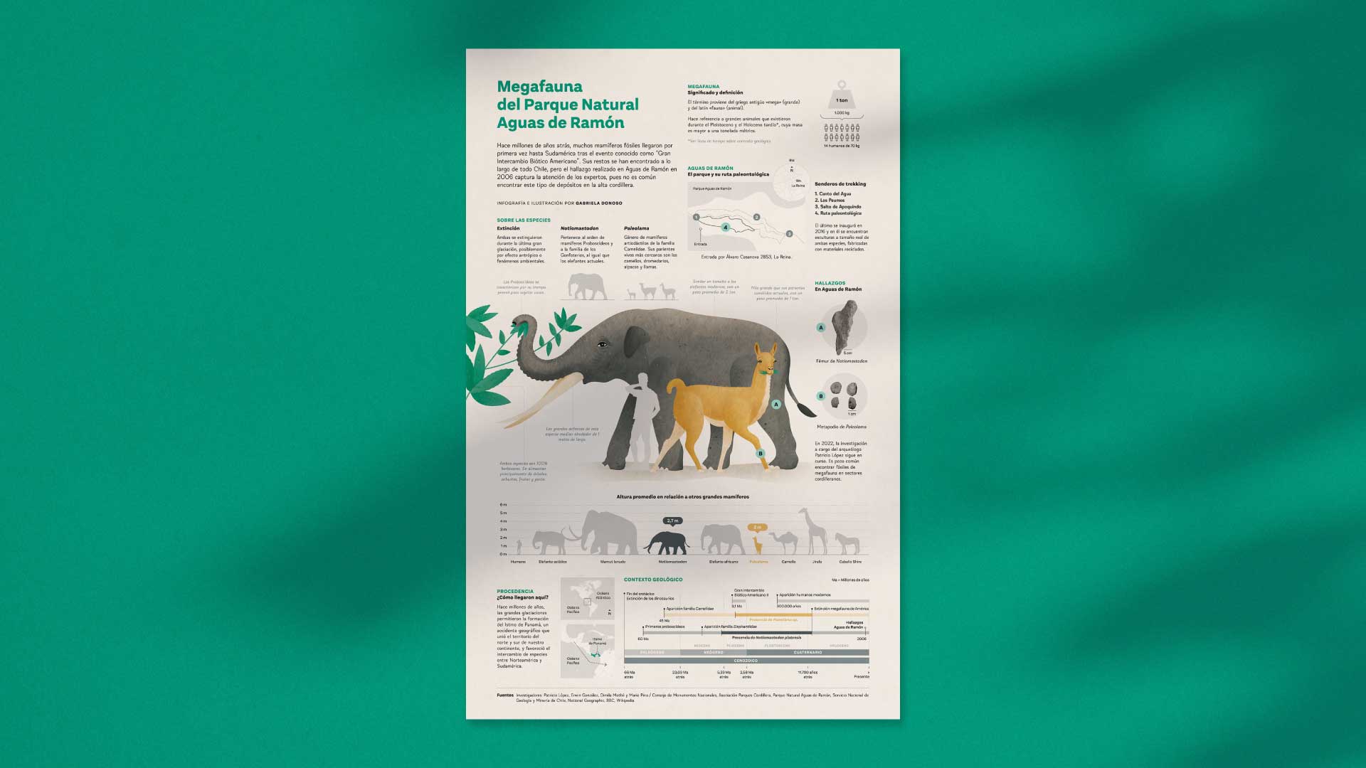 Lumus_Infografias-UC-06
